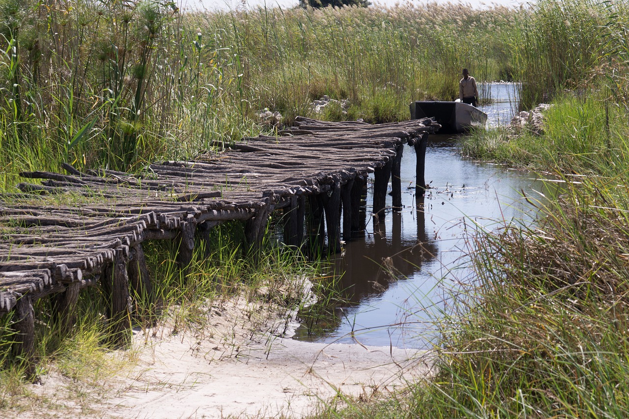 boardwalk, boat, okavango-4896753.jpg